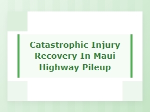 Investigation Into Catastrophic Recovery From Maui Highway Collision