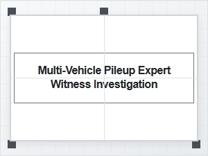 Expert Witness Investigation for a Multi-Vehicle Pileup
